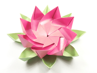 模块化的折纸莲花