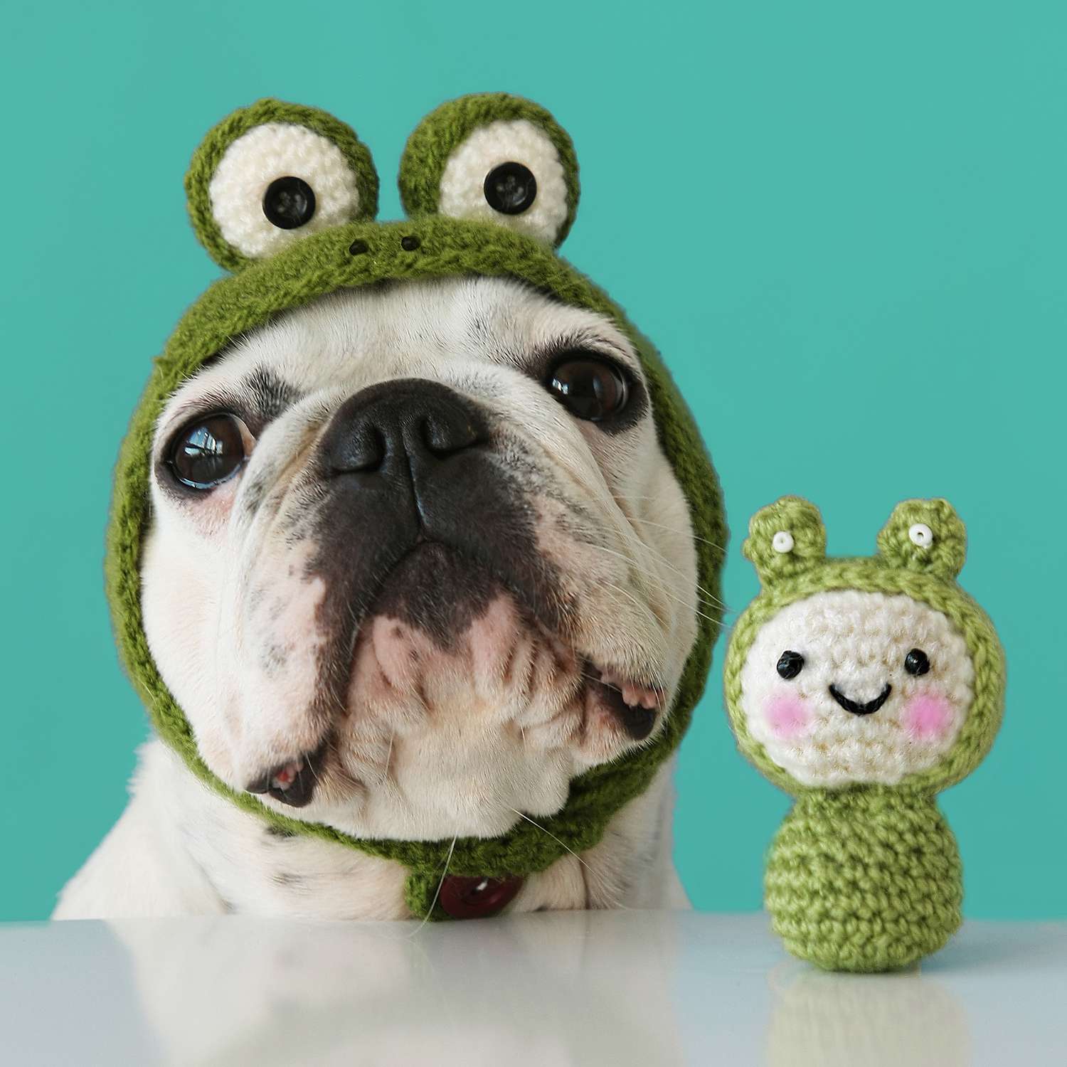 狗娃娃和青蛙帽，用钩针编织