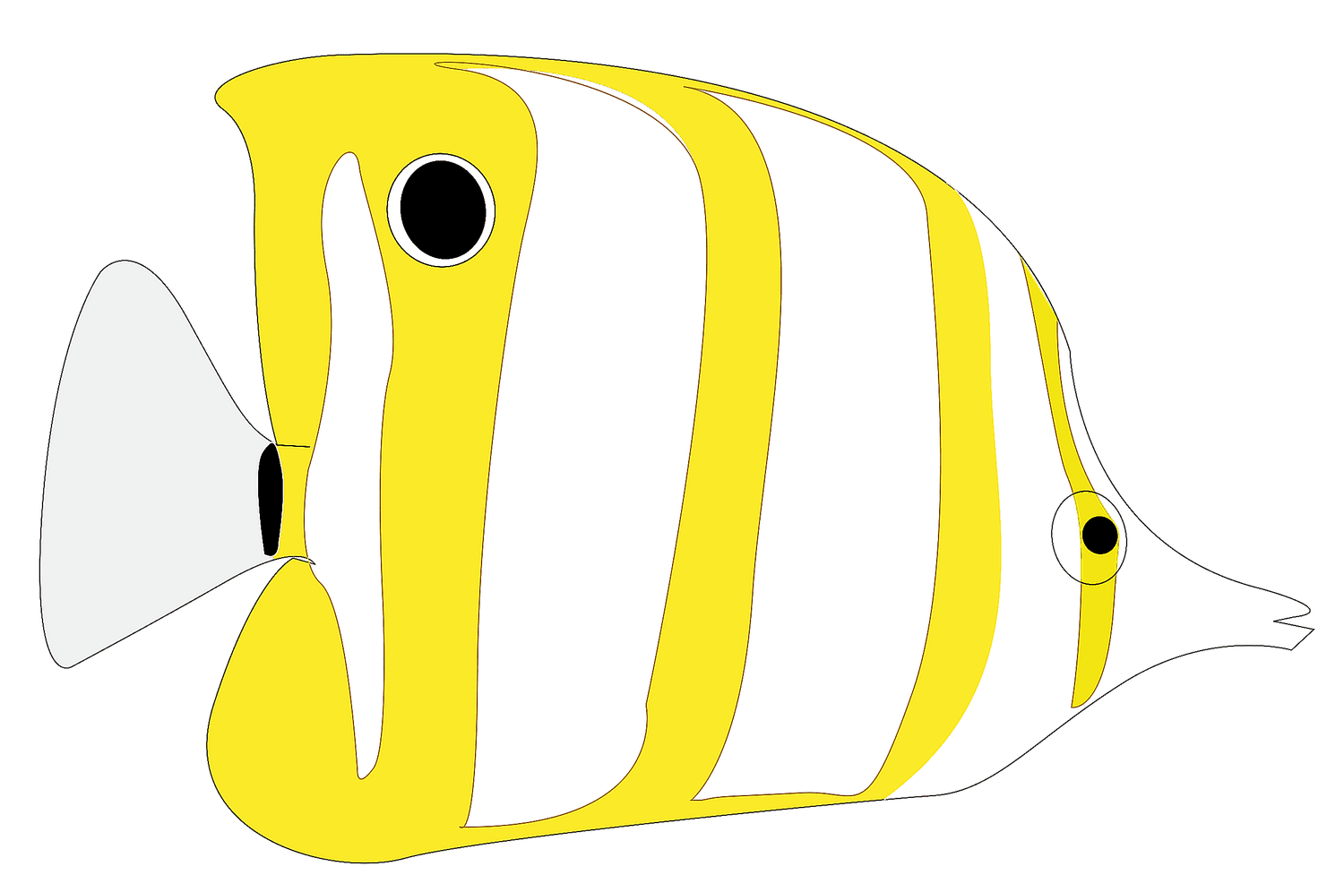 A yellow and white striped fish