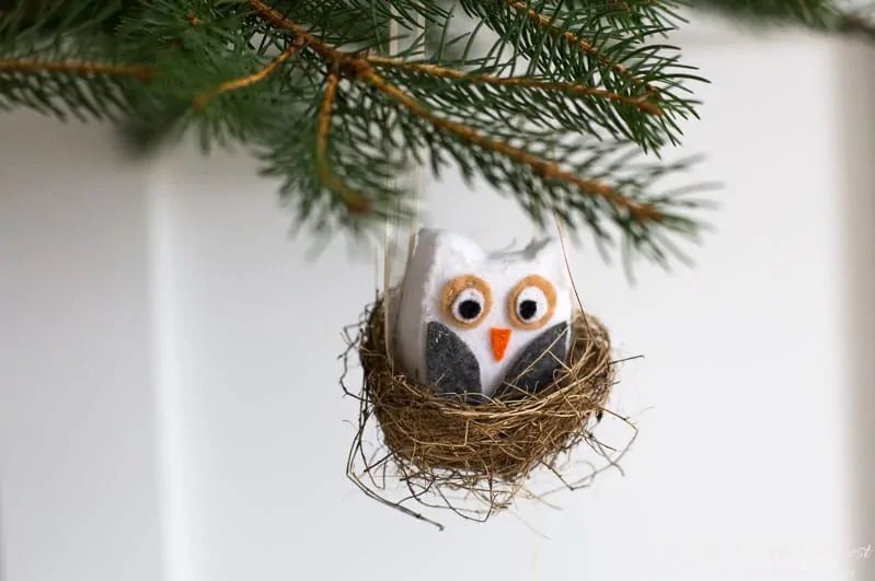 觉得猫头鹰在鸟巢挂在圣诞树上。