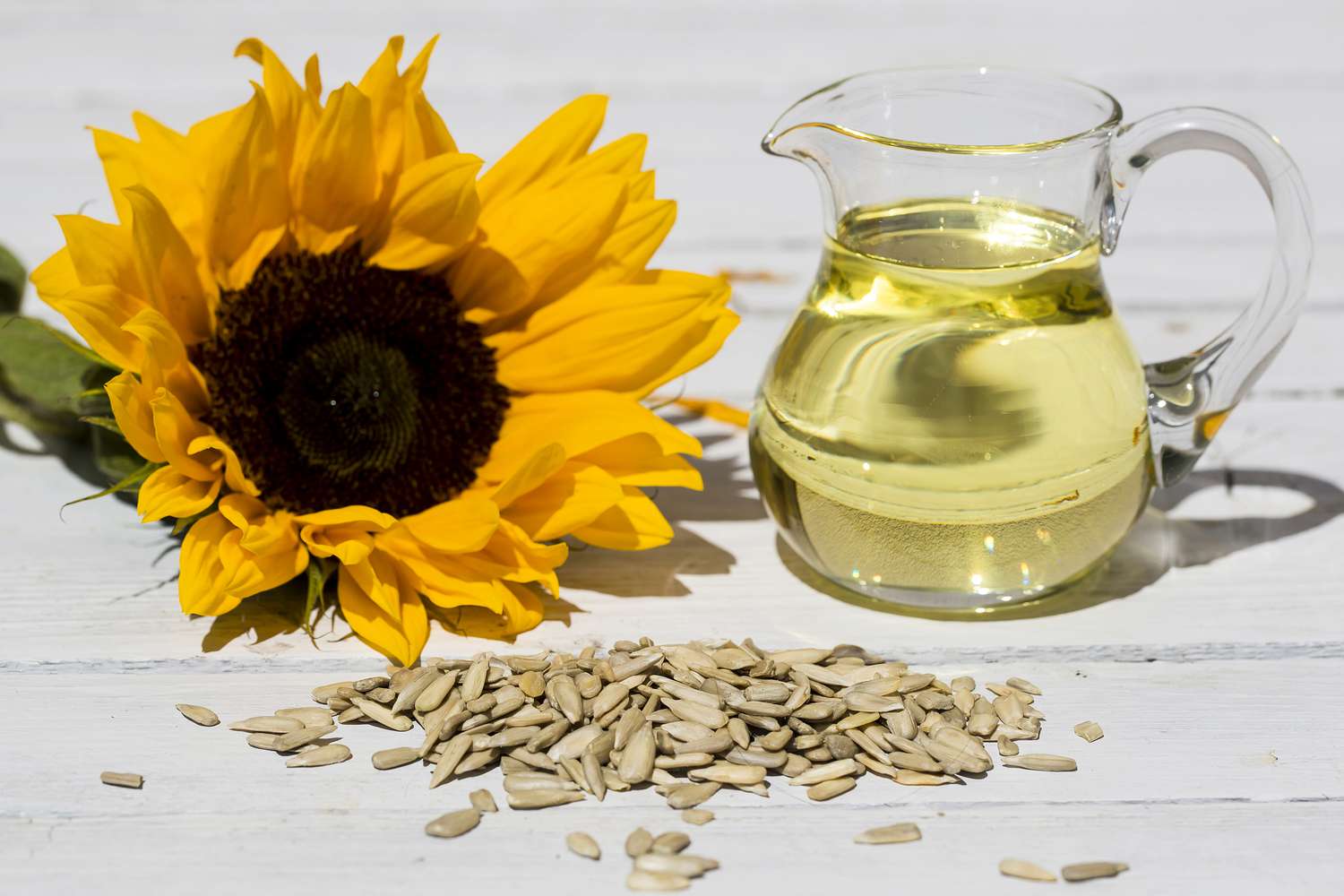 sunflower seeds, sunflower oil and blossom