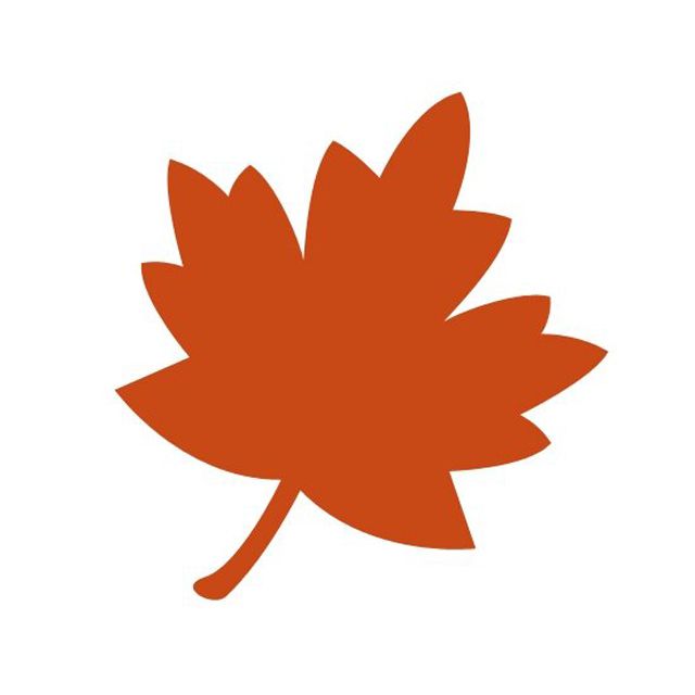 An orange maple leaf