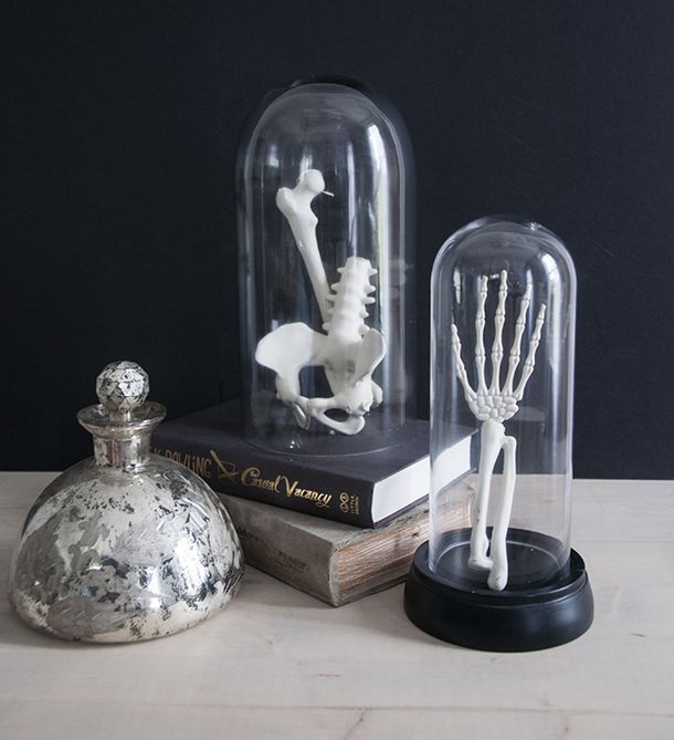 Skeleton hands in a jar