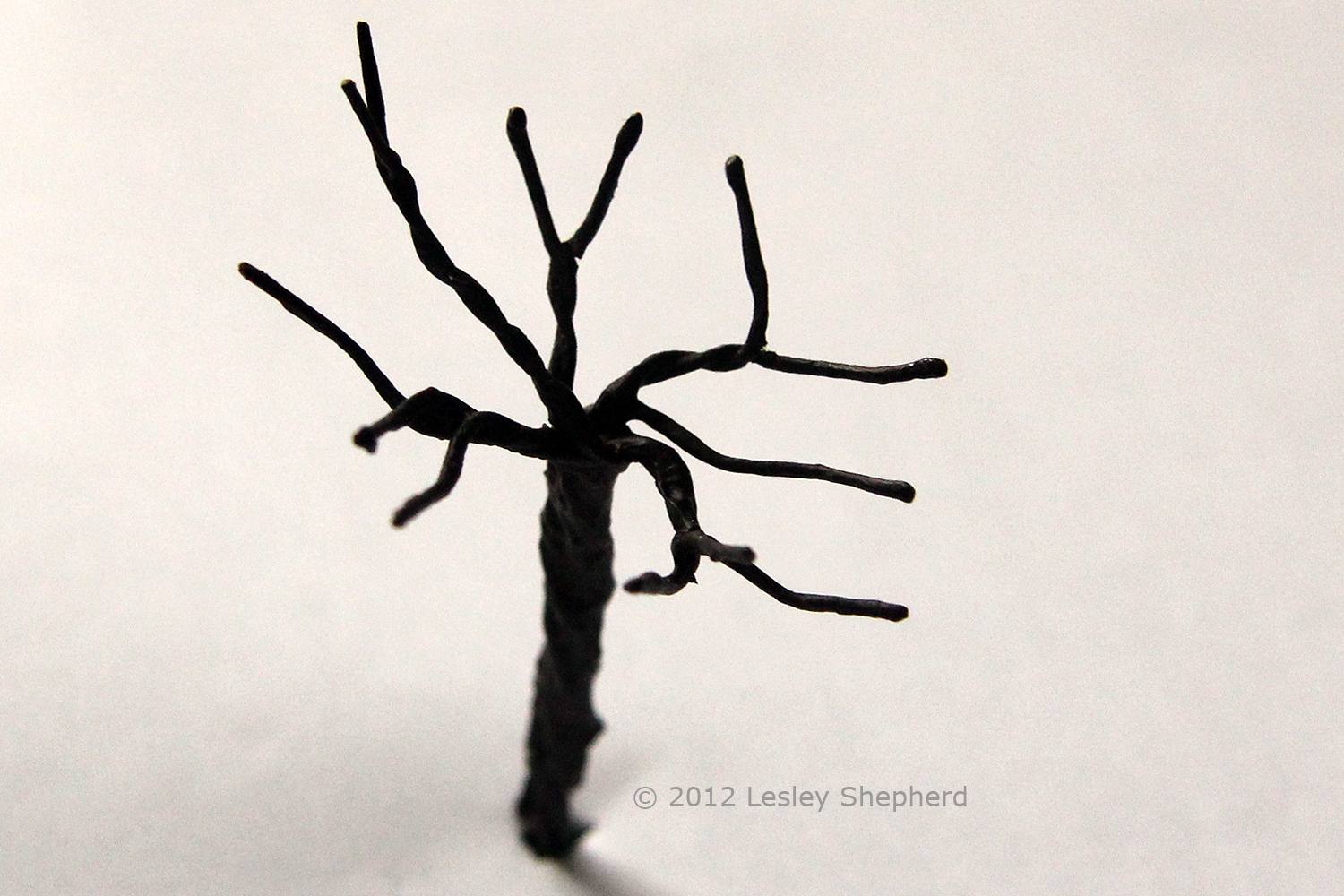 Shaping the branches of a model tree so they spread out in three dimensions.