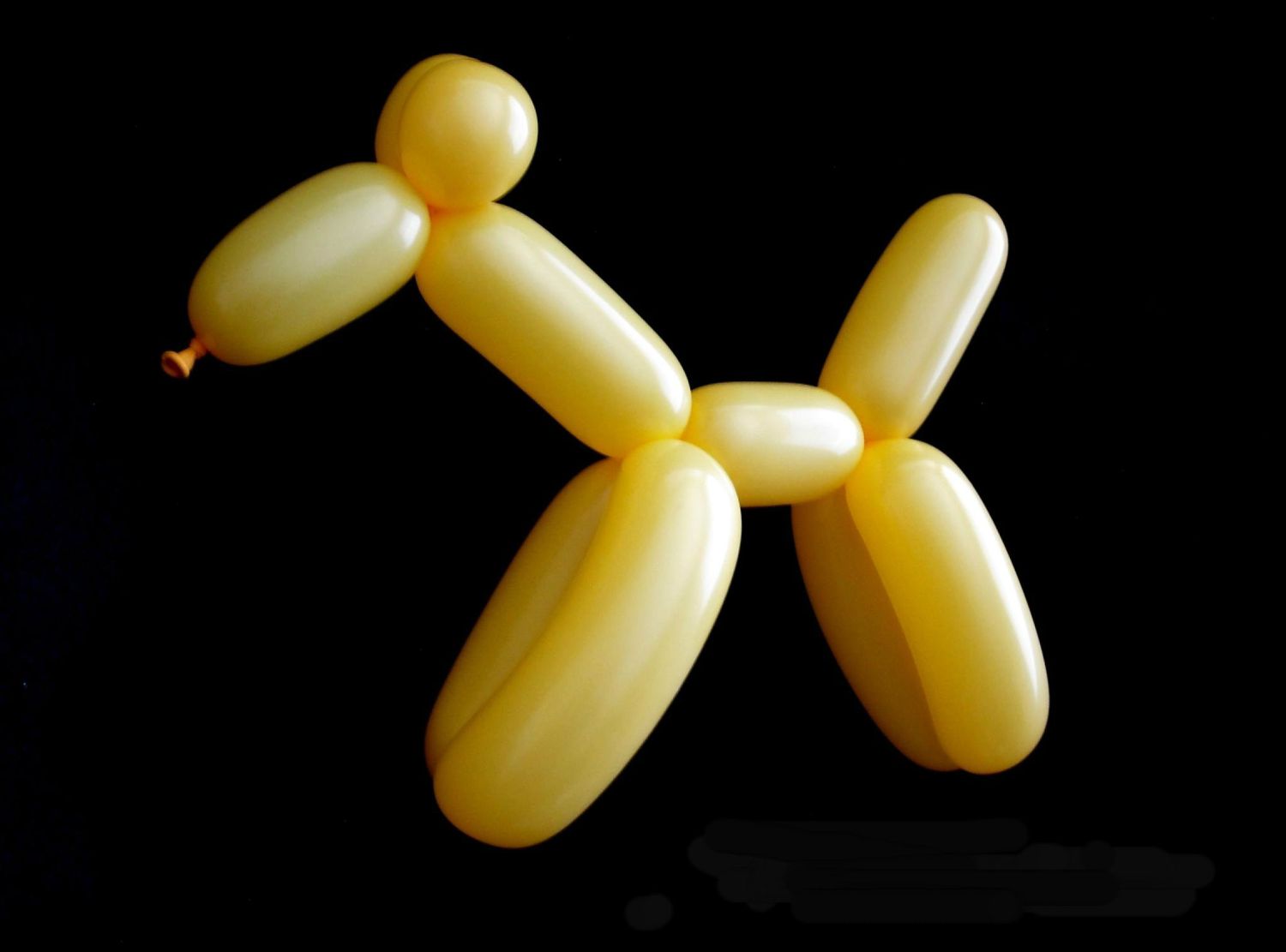 Yellow balloon dog