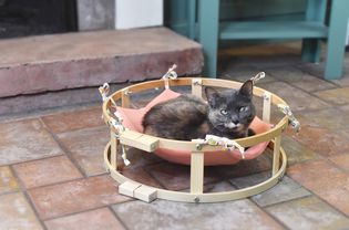 DIY猫吊床