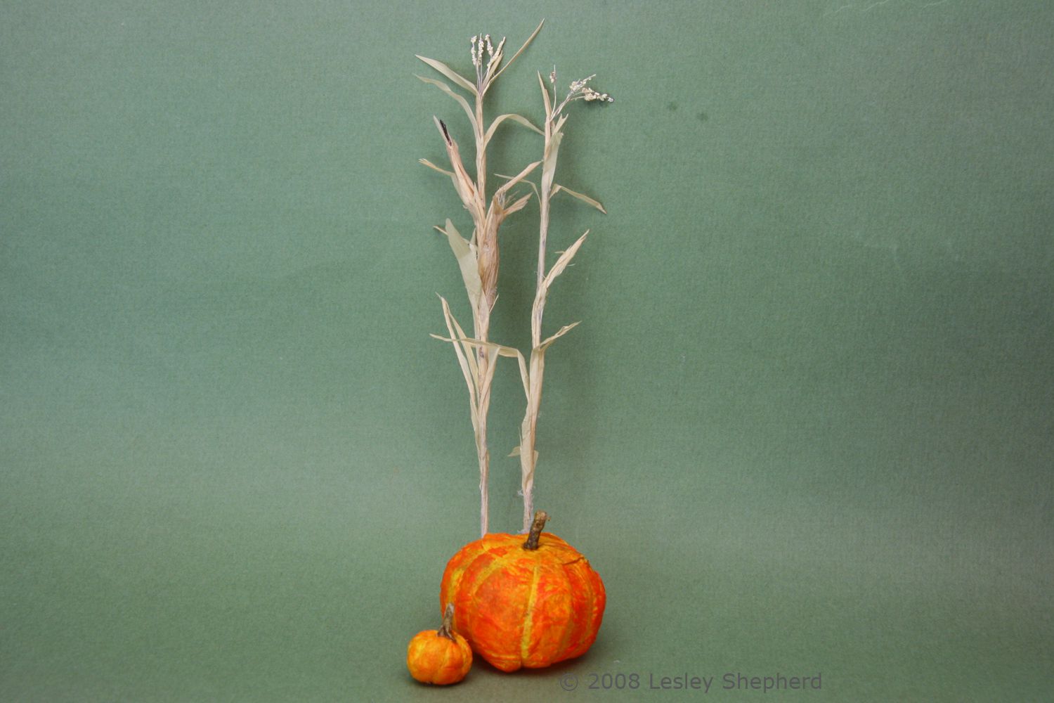 Dried corn stalks and miniature pumpkins ready for a dolls house display.