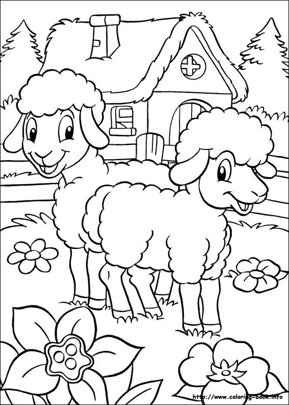 小屋外的两只小羊。