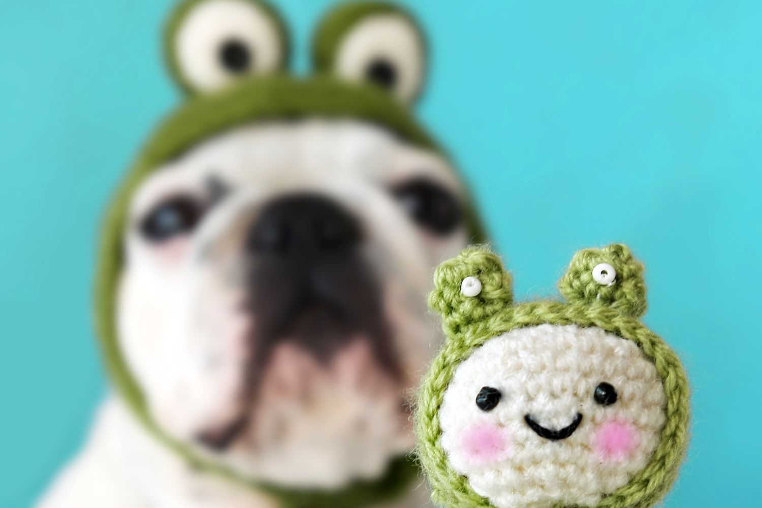 钩编和创造力将一个可爱的狗变成一个可爱的青蛙