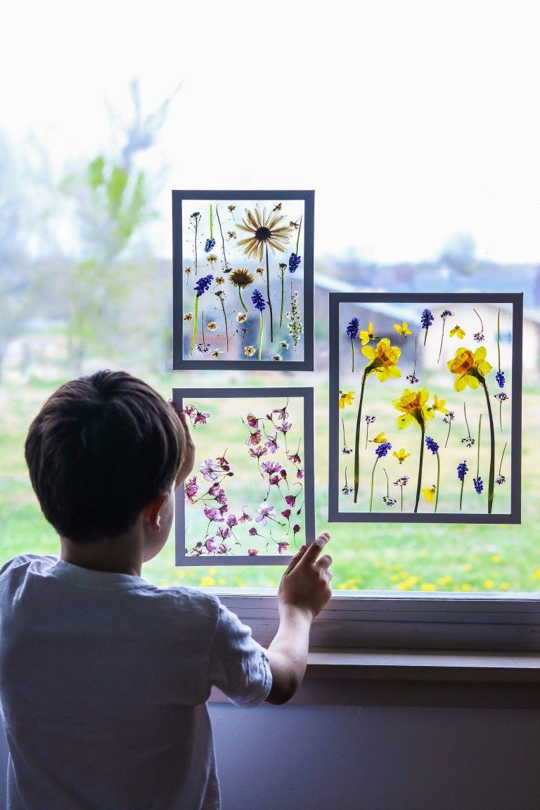 A boy hanging framed pressed flowers