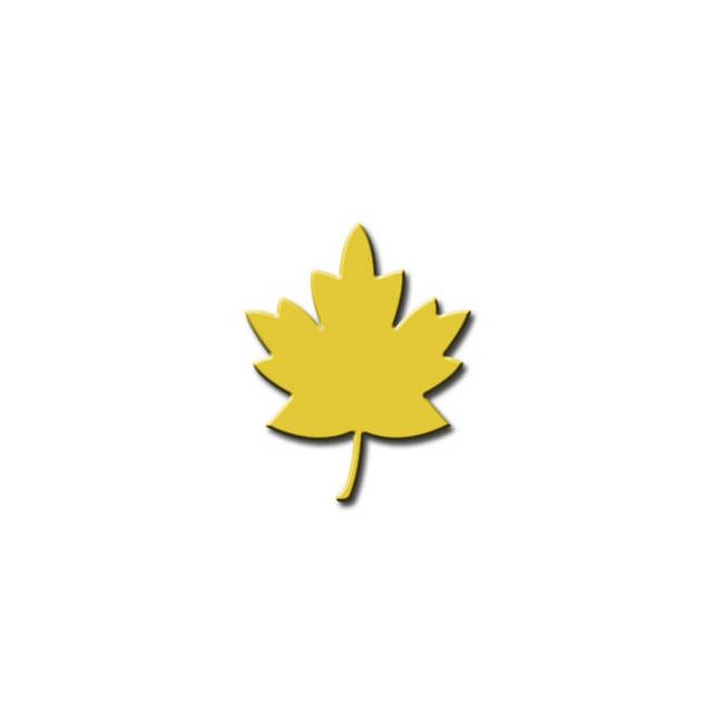 A yellow fall leaf