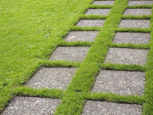 垫脚石在草坪上,姿态ruy花园,荷兰,9月。一个系列的一部分,形象15 47