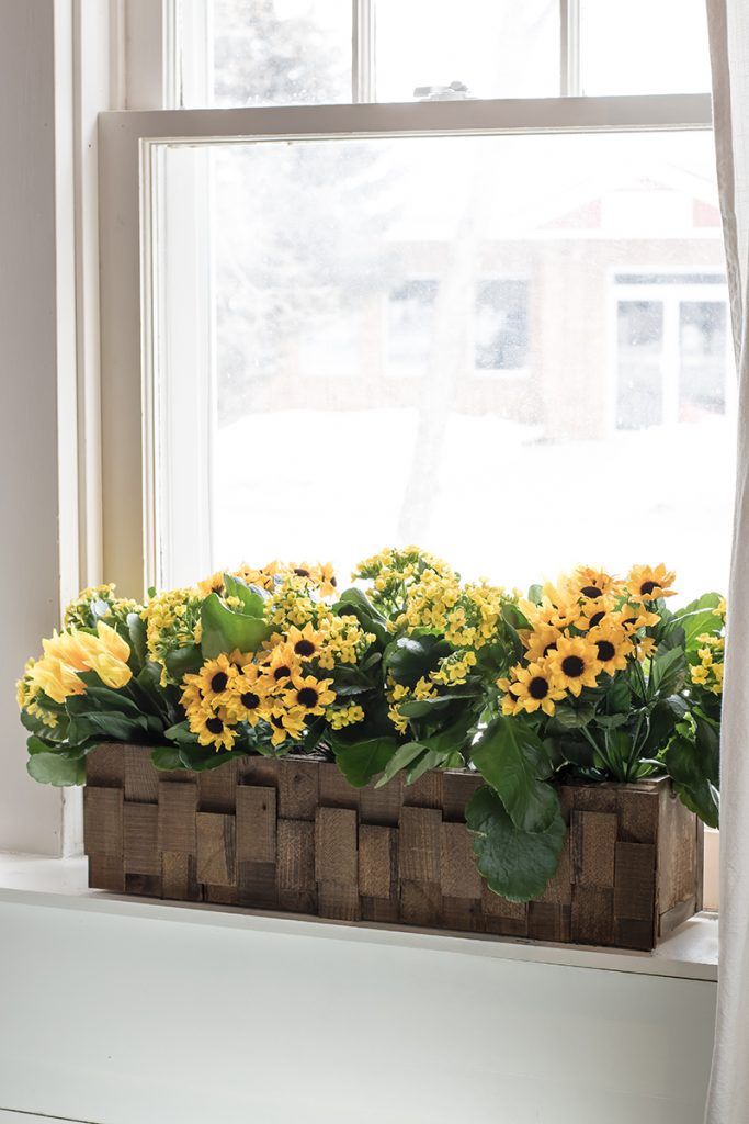 窗台上的木制花盆