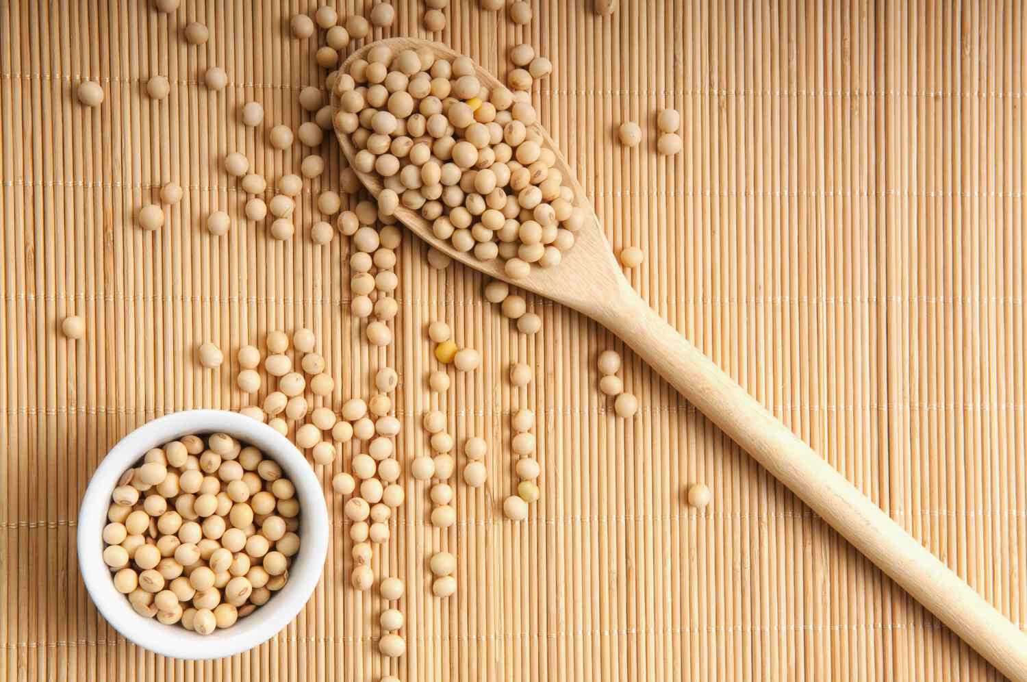 High angle view of soybeans in a bowl and a wooden spoon