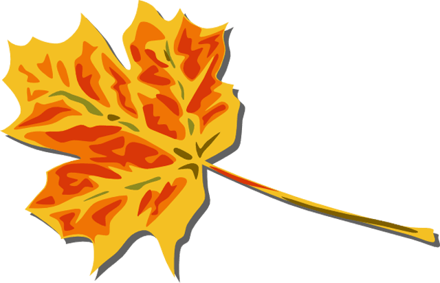 A yellow and red fall leaf