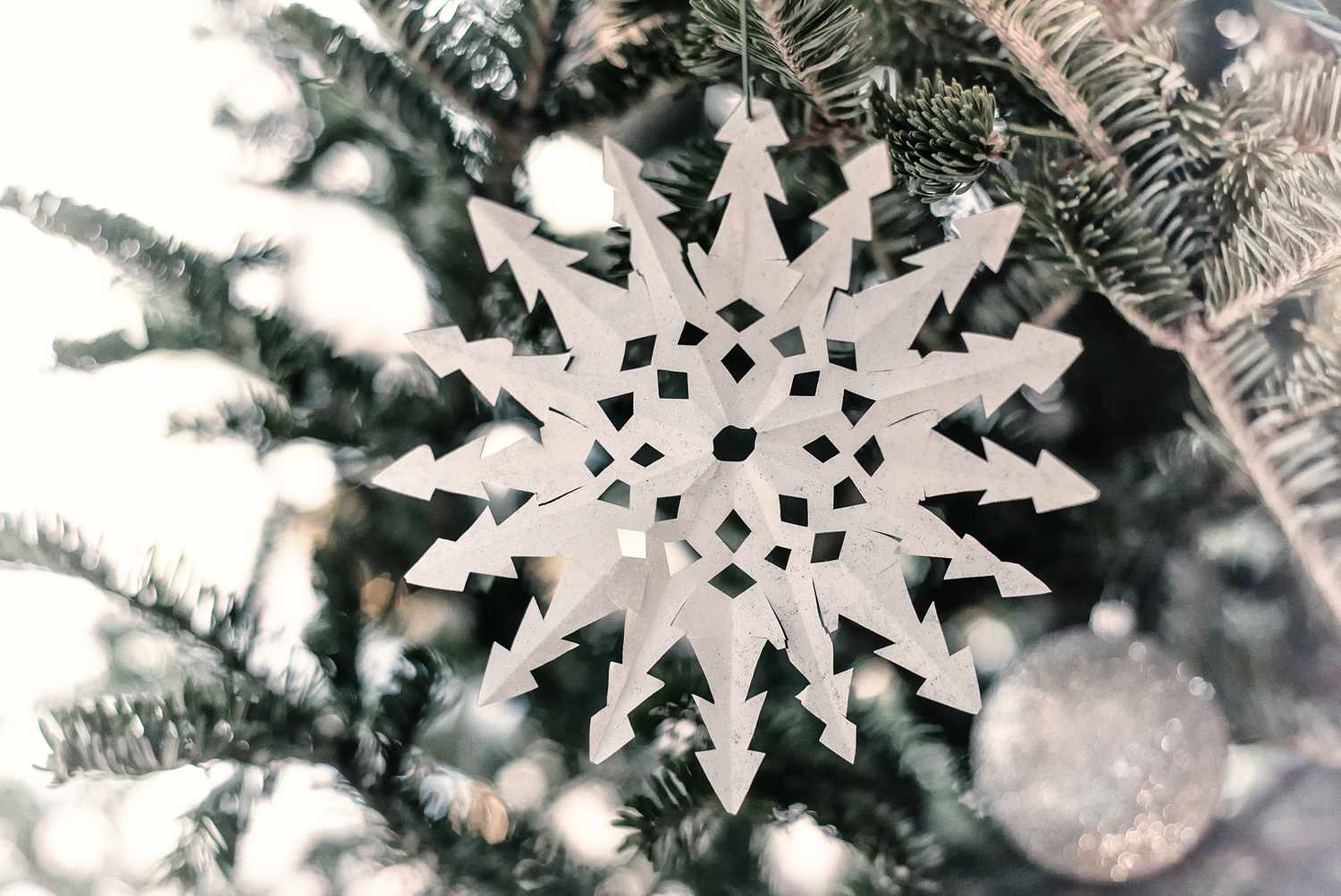 Paper snowflake on tree