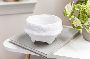 White no-cook paper-mache bowl on top of book near houseplant
