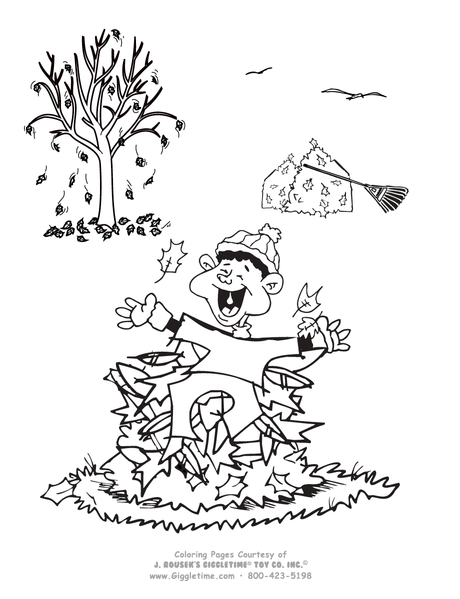 一个男孩在落叶中玩耍