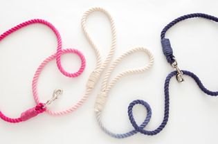 dip dyed dog leashes