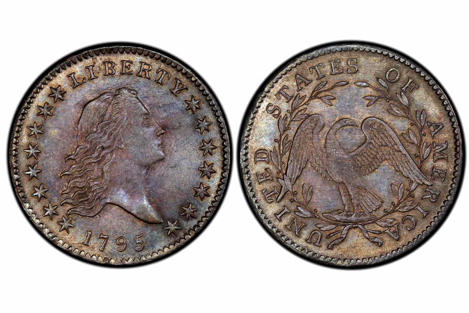 1795飘逸的头发半美元-两片叶子