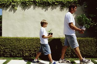 Father and son carrying potted plants along stepping stones, side view