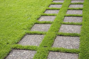 Stepping stone path across lawn, Mien Ruys Garden, Holland, September. Part of a series, image 15 of 47