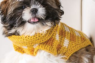 Fluffy dog in a yellow gingham crochet sweater