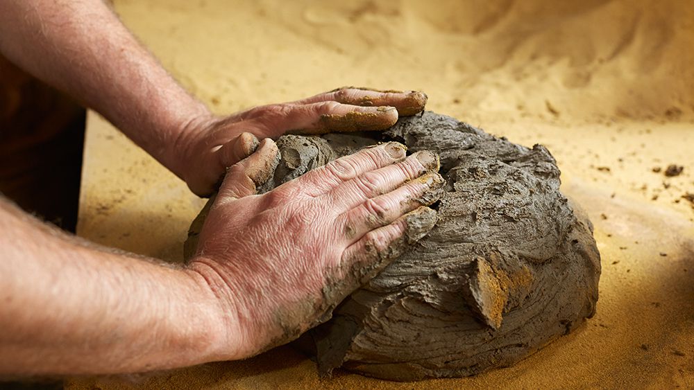 有许多不同类型的粘土的身体可以使用。选择最适合你。