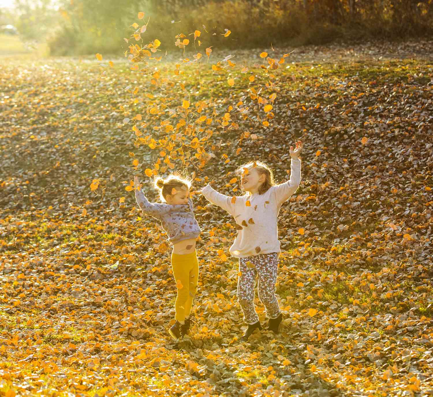 两个年轻的女孩玩,把树叶在空中城市公园在一个温暖的秋天晚上日落时分
