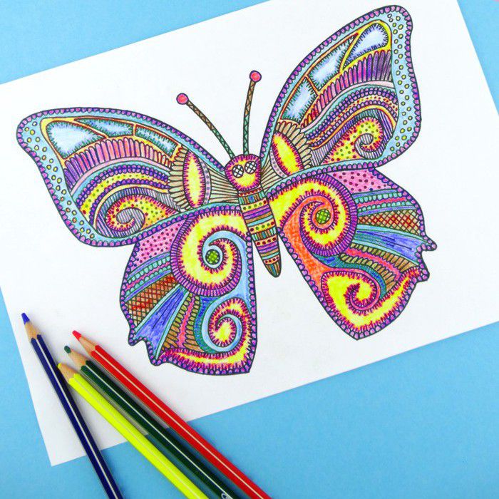 为成人准备的彩色页，上面有一只蝴蝶的图片。