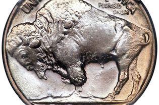 1937年布法罗镍币的特写