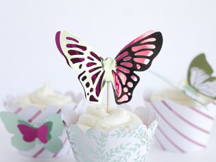 蛋糕与蝴蝶短大衣