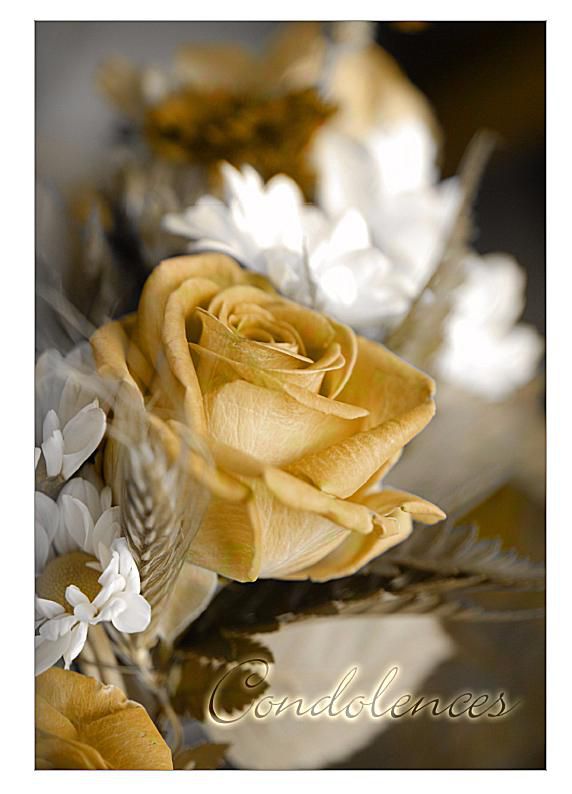 黄玫瑰和白色雏菊慰问卡片。