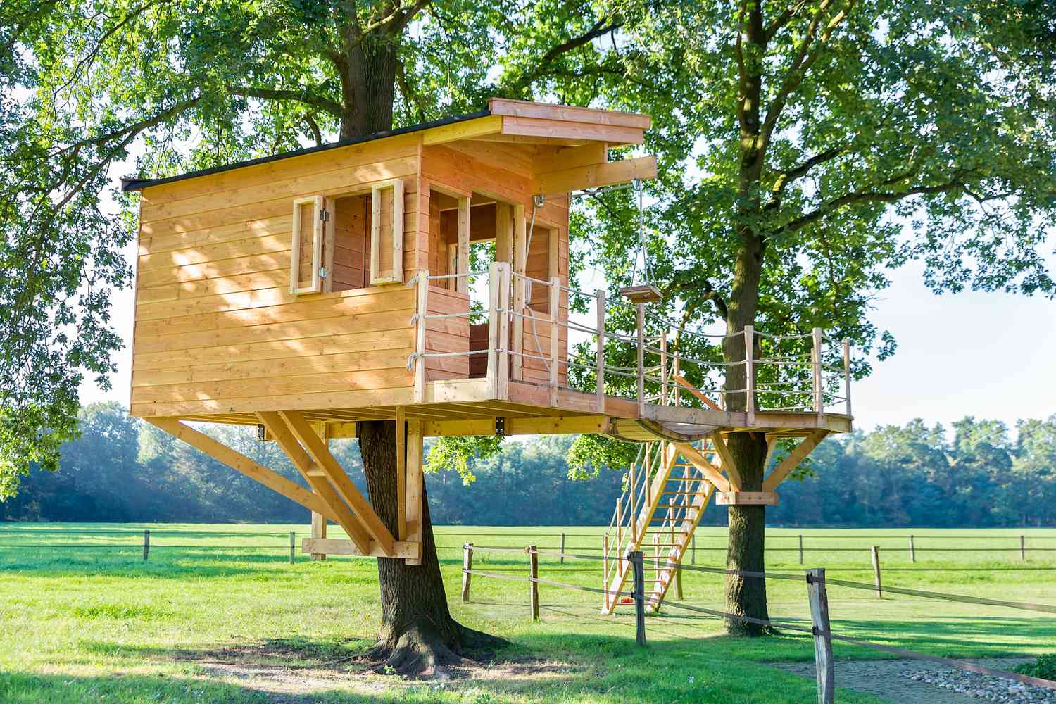 橡树上的新木质树屋