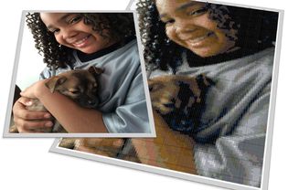 little girl with puppy photo and needlepoint design