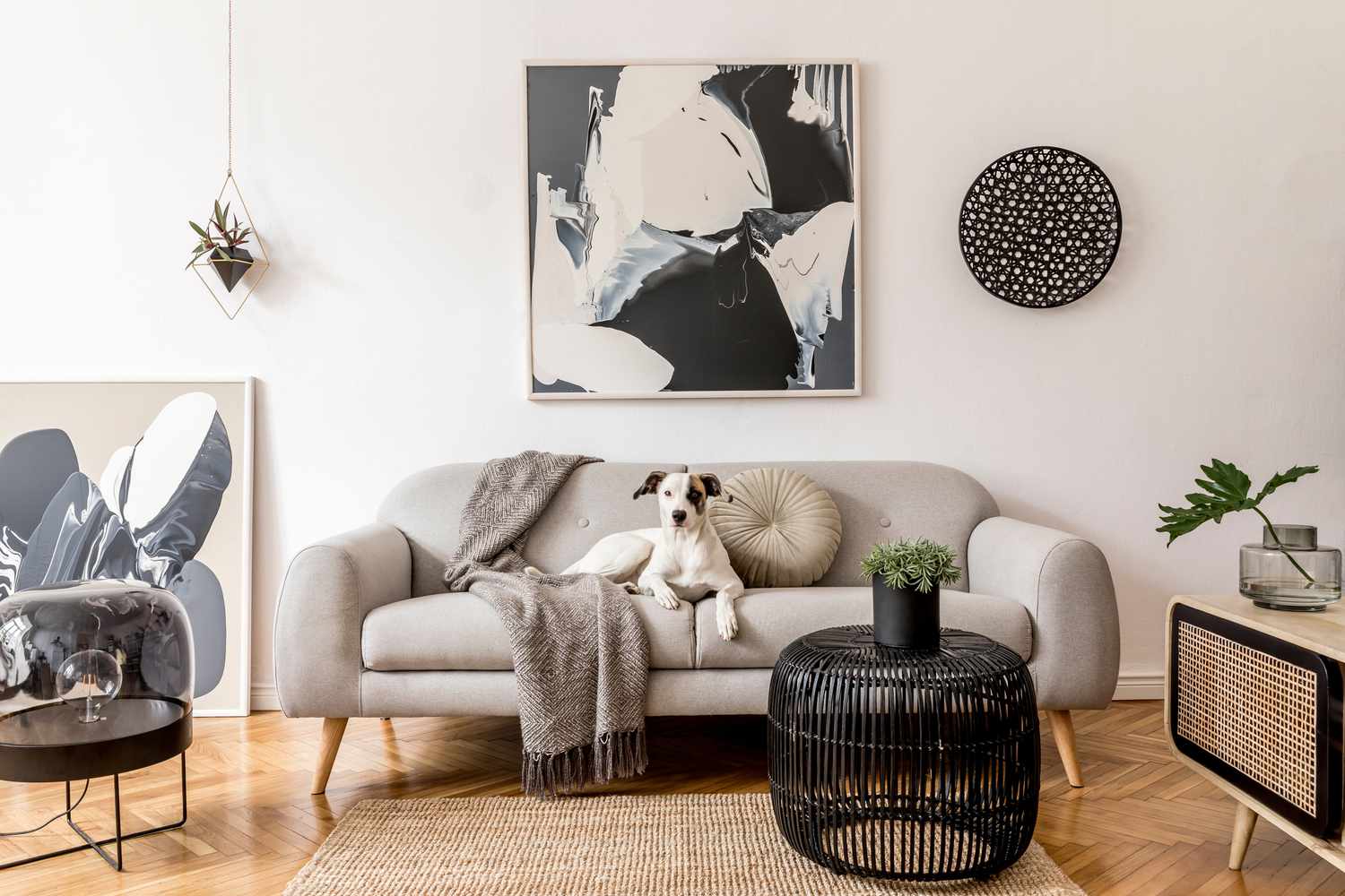时尚和北欧现代公寓的客厅室内灰色沙发,木制衣柜设计,黑色的桌子,灯,abstrac画在墙上。美丽的狗躺在沙发上。家居装饰。