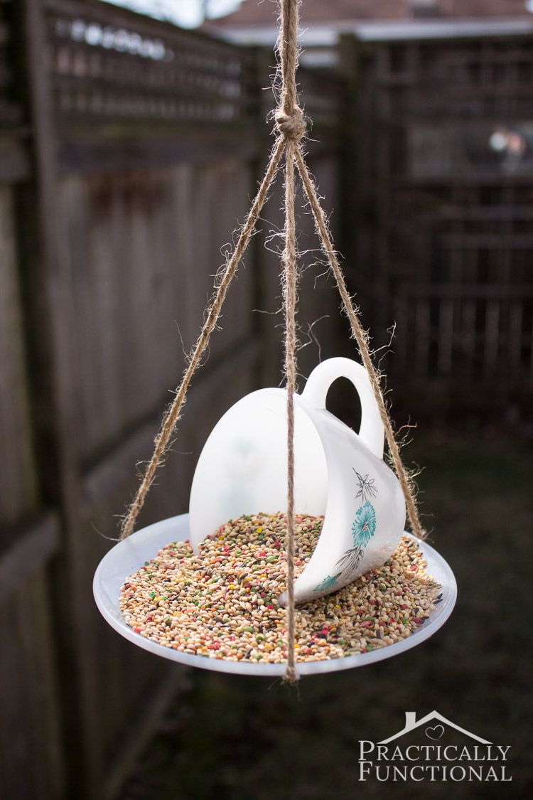 如何用一个茶杯DIY一个喂鸟器