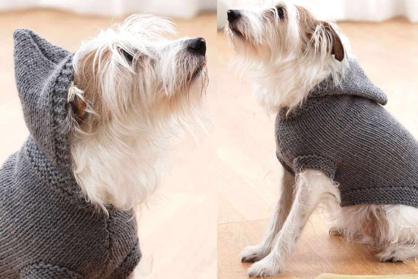 Hoodie Dog Coat Knitting Pattern