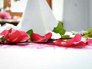 特写的粉色玫瑰花瓣和常春藤在婚宴餐桌上