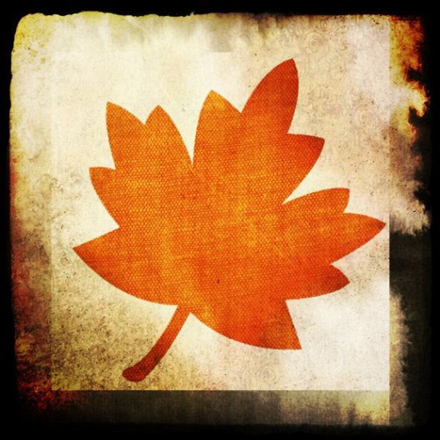 An orange fall leaf on a distressed background