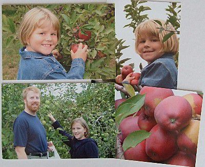 父亲和女儿摘苹果