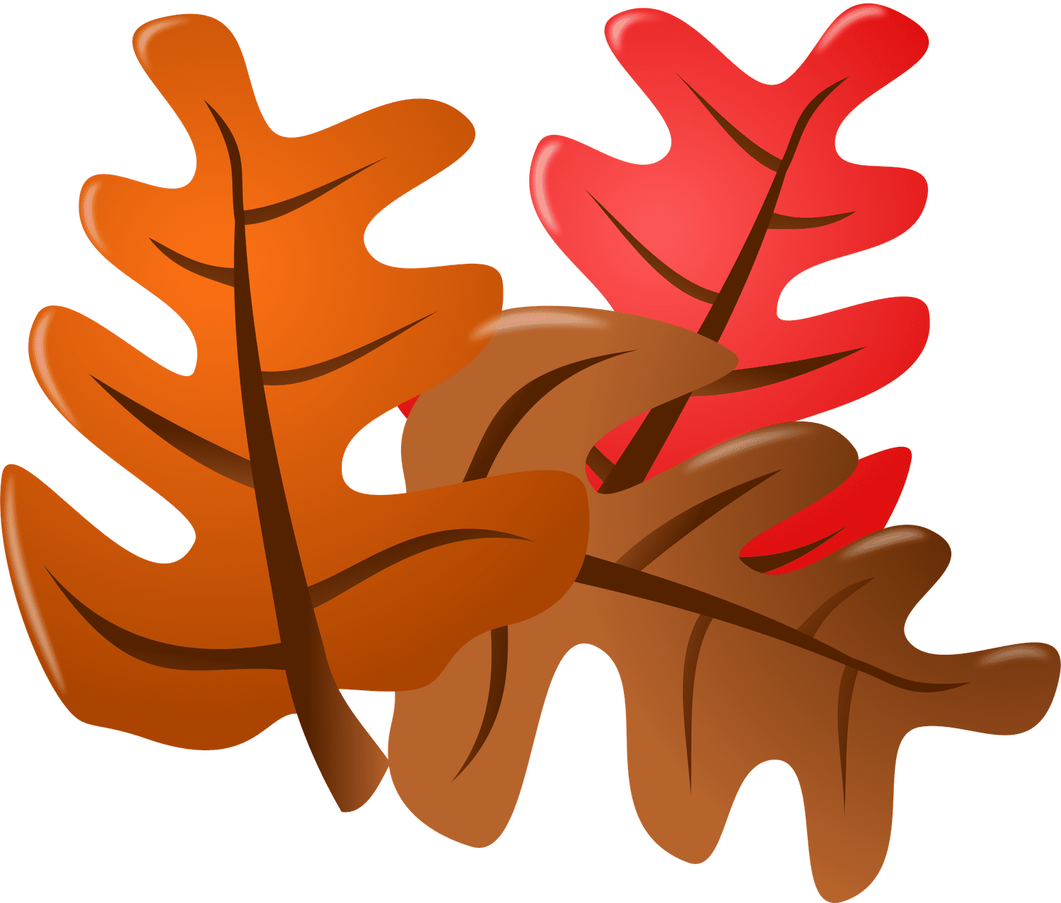 橙色、红色和棕色的落叶