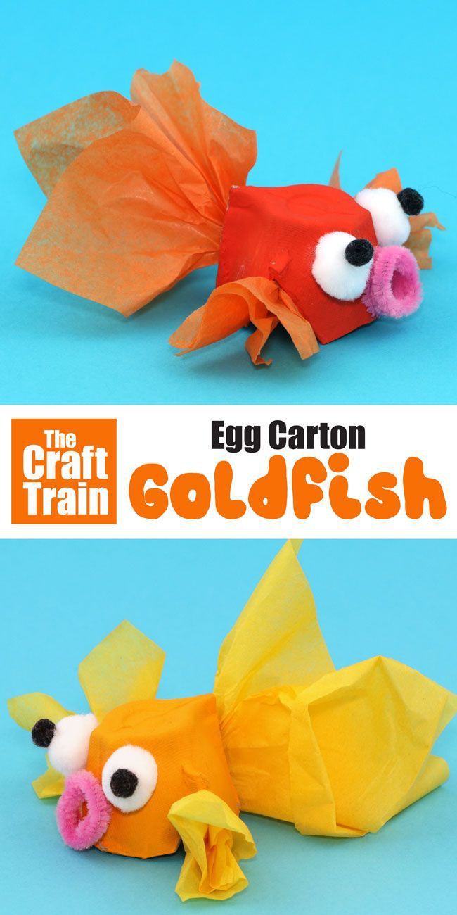 Egg Carton Goldfish