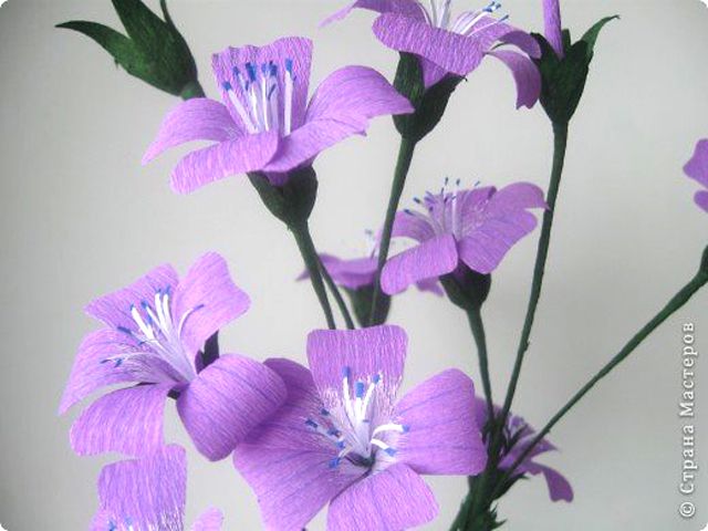 紫色的纸野花