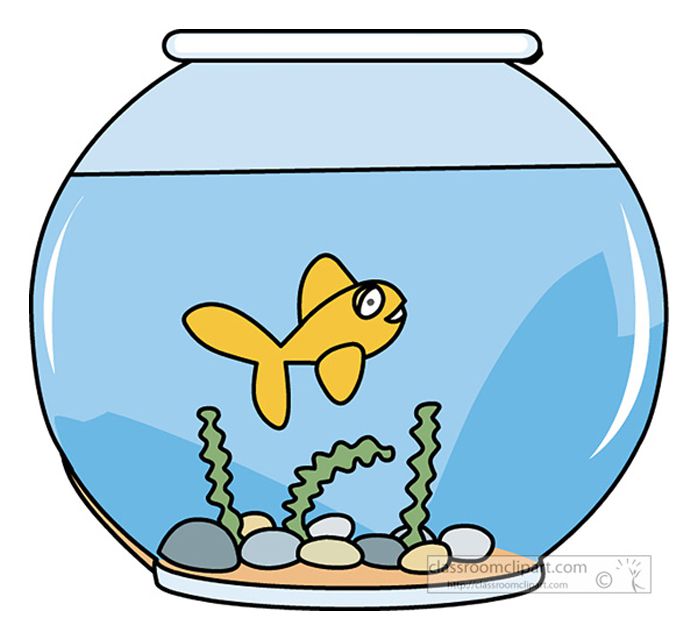 A goldfish swimming in a fish bowl