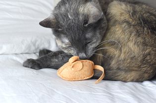 DIY felt catnip mouse cat toy