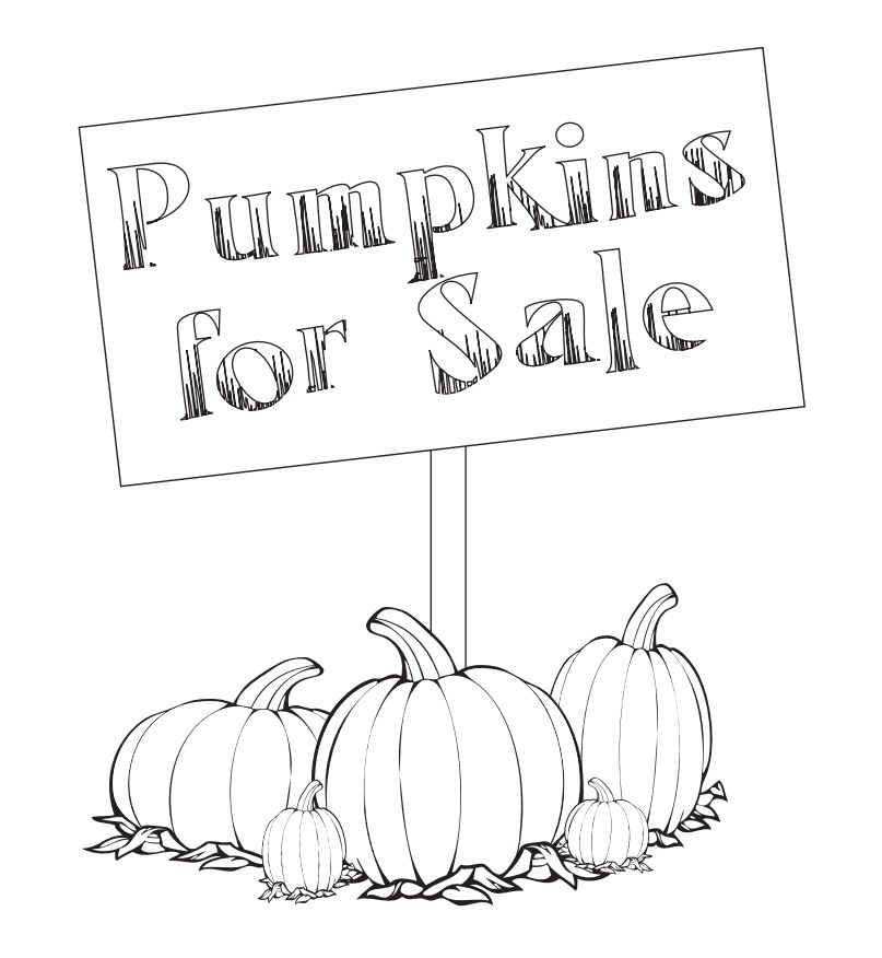 A "Pumpkins for Sale" Sign by Various Sizes of Pumpkins.
