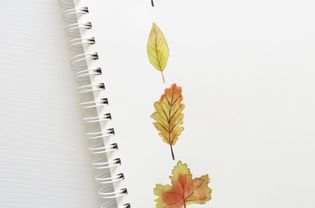 画秋天的叶子