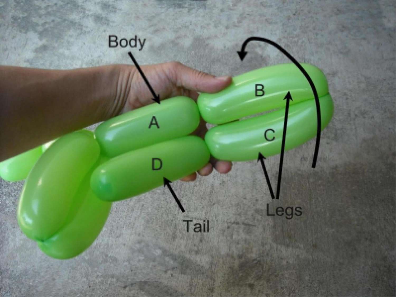 Green balloon twisting diagram