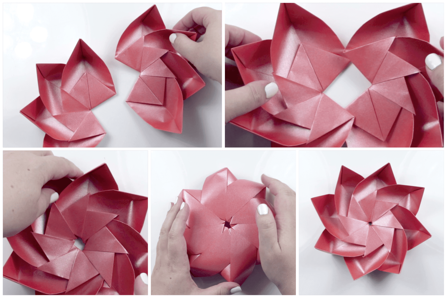 模块折纸莲花9